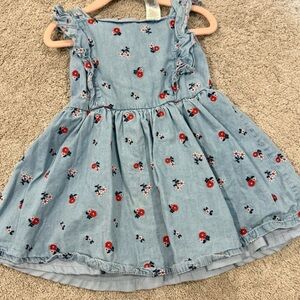 Light Blue Chambray Girls' Dress with Red Floral Embroidery